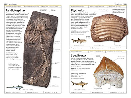 Fossils (DK Handbooks) - Retail Maharaj