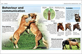 HORSES - Retail Maharaj