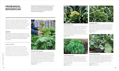 The Permaculture Garden: A Practical Approach to Year-round Harvests - Retail Maharaj