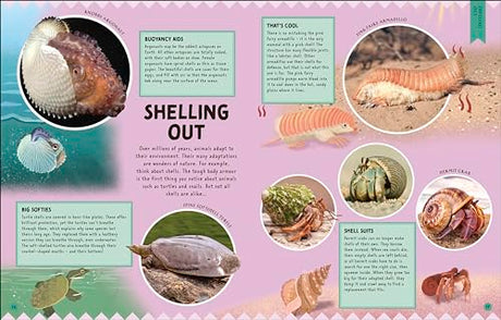 Odd Animals Out (Wonders of Wildlife) - Retail Maharaj