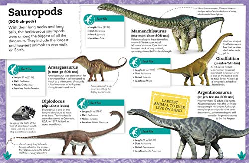 My Book of Dinosaurs and Prehistoric Life: Animals and plants to amaze, surprise, and astonish! - Retail Maharaj