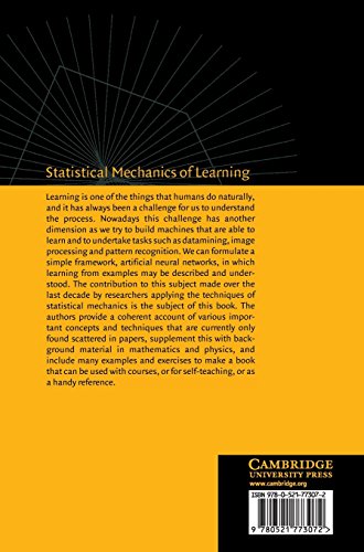 Statistical Mechanics of Learning - Retail Maharaj
