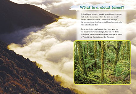 Cloud Forest: Band 11/Lime (Collins Big Cat) - Retail Maharaj
