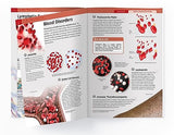 Human Body - Heart And Circulatory System: Knowledge Encyclopedia For Children - Retail Maharaj