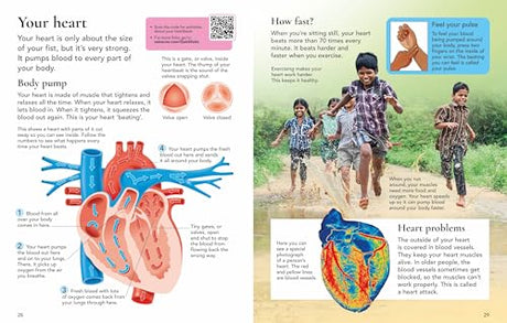 First Encyclopedia of the Human Body - Retail Maharaj