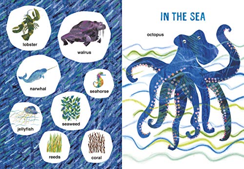 Eric Carle's Book of Many Things: Over 200 First Words - Retail Maharaj