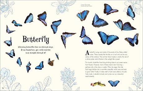 An Anthology of Intriguing Animals - Retail Maharaj