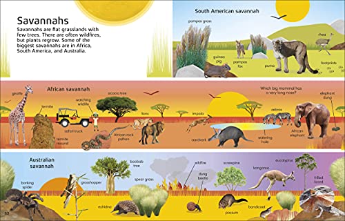 1000 Words: Nature: Build Nature Vocabulary and Literacy Skills - Retail Maharaj