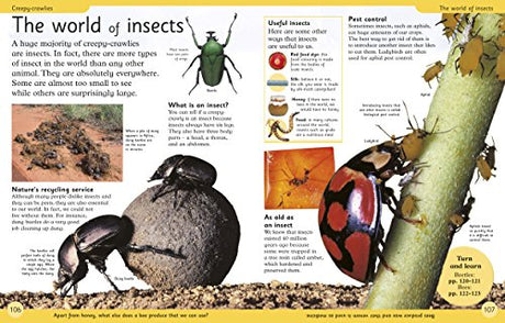 First Animal Encyclopedia: A First Reference Book for Children - Retail Maharaj