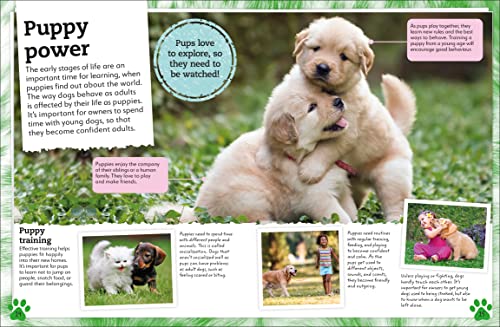 My Book of Dogs and Puppies: A Fact-Filled Guide to Your Canine Friends - Retail Maharaj