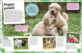 My Book of Dogs and Puppies: A Fact-Filled Guide to Your Canine Friends - Retail Maharaj