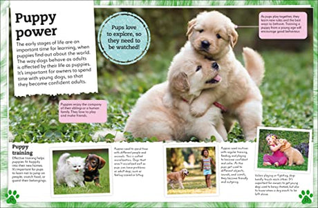 My Book of Dogs and Puppies: A Fact-Filled Guide to Your Canine Friends - Retail Maharaj