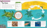 The Very Hungry Caterpillar's Very First Animal Encyclopedia: An Introduction to Animals, For VERY Hungry Young Minds - Retail Maharaj