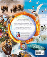 Amazing Animal Journeys: The Most Incredible Migrations in the Natural World - Retail Maharaj
