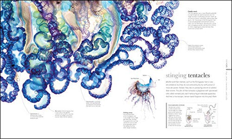 The Science of Animals - Retail Maharaj