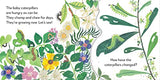 Pop-Up Peekaboo! Butterfly: Pop-Up Surprise Under Every Flap! - Retail Maharaj