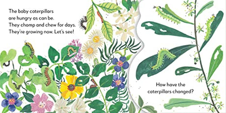 Pop-Up Peekaboo! Butterfly: Pop-Up Surprise Under Every Flap! - Retail Maharaj