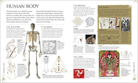 Signs & Symbols - Retail Maharaj