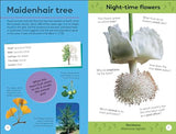 Quiz Yourself Clever! Trees of the World - Retail Maharaj