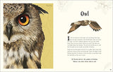 An Anthology of Intriguing Animals - Retail Maharaj