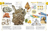 The Periodic Table Book: A Visual Encyclopedia of the Elements | An Illustrated Periodic Table for Kids | Explore Properties, Uses, Fun Facts, and Simple Explanations of All 118 Chemical Elements - Retail Maharaj