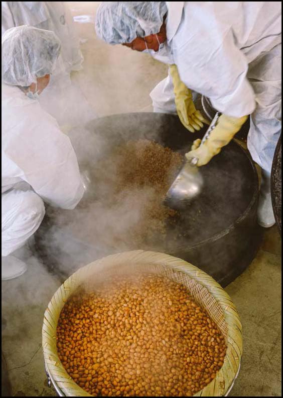 Taste Korea: Korean Recipes With Local Ingredients - Retail Maharaj