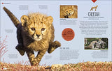 Born to be Wild: How Baby Animals Survive and Thrive - Retail Maharaj
