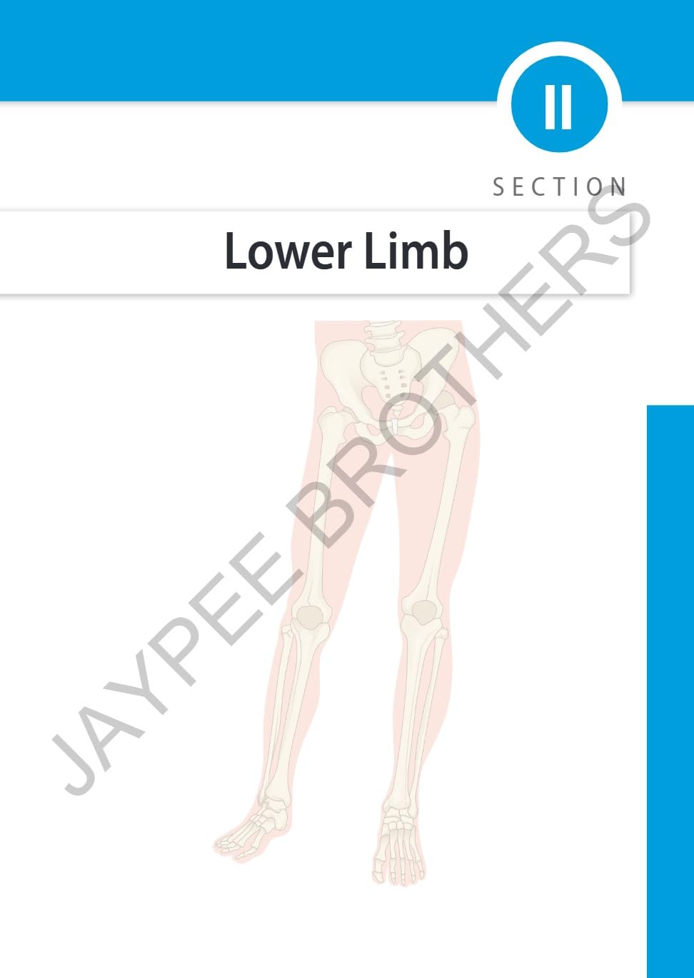 EARLY CLINICAL EXPOSURE A CASE BASED APPROACH IN CLINICAL ANATOMY - Retail Maharaj