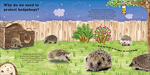 Roly the Hedgehog (Roly and Friends) - Retail Maharaj