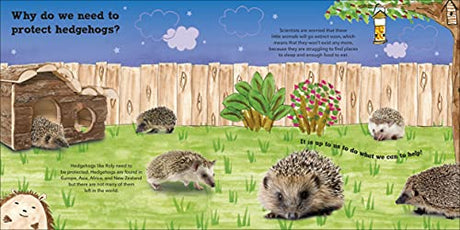 Roly the Hedgehog (Roly and Friends) - Retail Maharaj