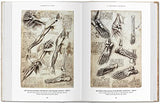Leonardo Da Vinci: The Graphic Work - Retail Maharaj