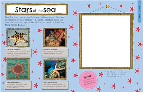 The Fact-Packed Activity Book: Sharks and Other Sea Creatures - Retail Maharaj