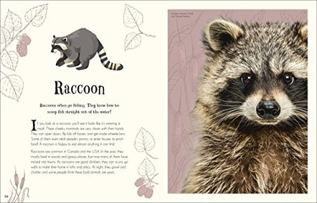 An Anthology of Intriguing Animals - Retail Maharaj