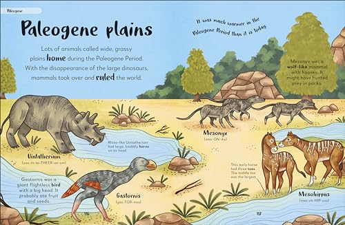 Bedtime Books: A Lovable Introduction to Animals and Dinosaurs - Retail Maharaj