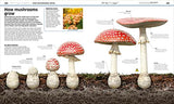 Knowledge Encyclopedia Plants and Fungi!: Our Growing World as You've Never Seen It Before - Retail Maharaj