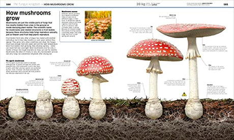 Knowledge Encyclopedia Plants and Fungi!: Our Growing World as You've Never Seen It Before - Retail Maharaj