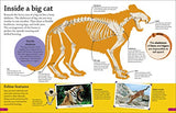 DKfindout! Big Cats - Retail Maharaj