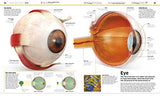 Knowledge Encyclopedia: Human Body!: Your Amazing Body As You've Never Seen It Before - Retail Maharaj