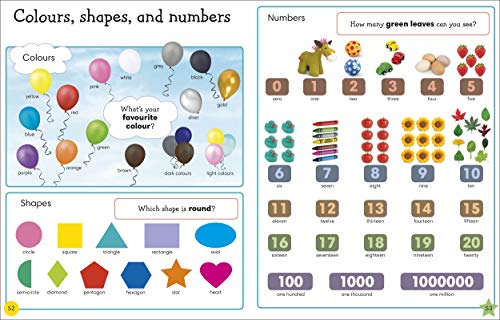 1000 Useful Words: Build Vocabulary and Literacy Skills (Vocabulary Builders) - Retail Maharaj