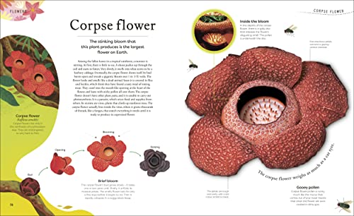 The Secret World of Plants: Tales of More Than 100 Remarkable Flowers, Trees, and Seeds - Retail Maharaj