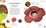 The Secret World of Plants: Tales of More Than 100 Remarkable Flowers, Trees, and Seeds - Retail Maharaj