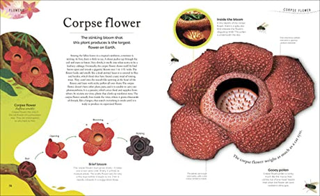 The Secret World of Plants: Tales of More Than 100 Remarkable Flowers, Trees, and Seeds - Retail Maharaj