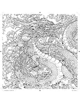 Colormorphia - Retail Maharaj