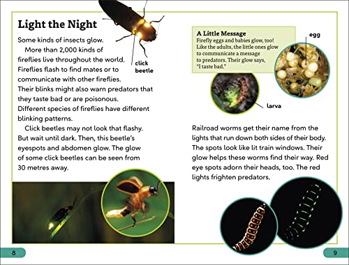DK Super Readers Level 3 Bioluminescent Animals - Retail Maharaj