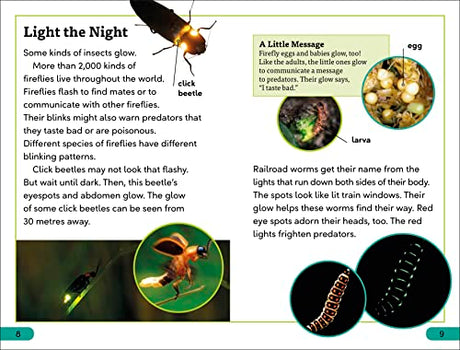DK Super Readers Level 3 Bioluminescent Animals - Retail Maharaj