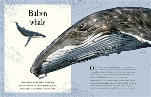An Anthology of Intriguing Animals - Retail Maharaj