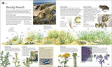 Chris Packham's Nature Handbook: Explore the Wonders of the Natural World - Retail Maharaj