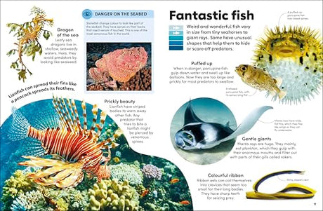Eyewonder Oceans: Open Your Eyes to a World of Discovery - Retail Maharaj