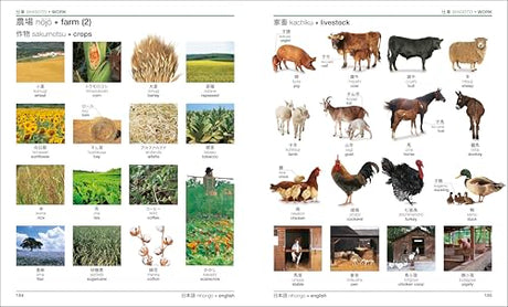 Japanese English Bilingual Visual Dictionary - Retail Maharaj