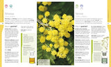Neal's Yard Remedies Essential Oils - Retail Maharaj
